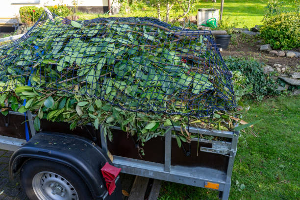 Best Shed Removal  in Arcola, IL